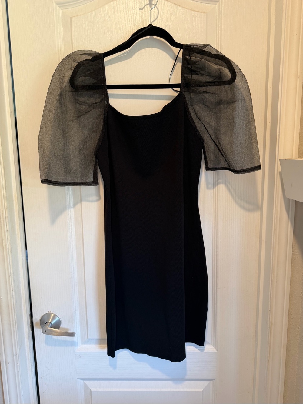 Endless Rose Black Mini Dress with Sheer Puff Sleeves